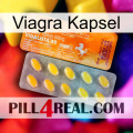 Viagra Capsule new05